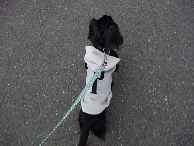 100128-5.JPG