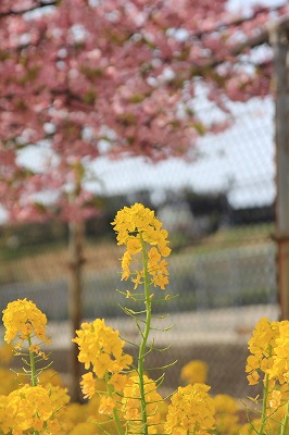 120322-17.jpg