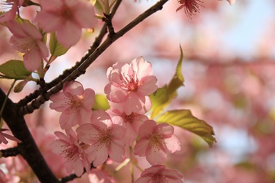 120322-19.jpg
