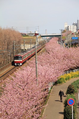 120322-9.jpg