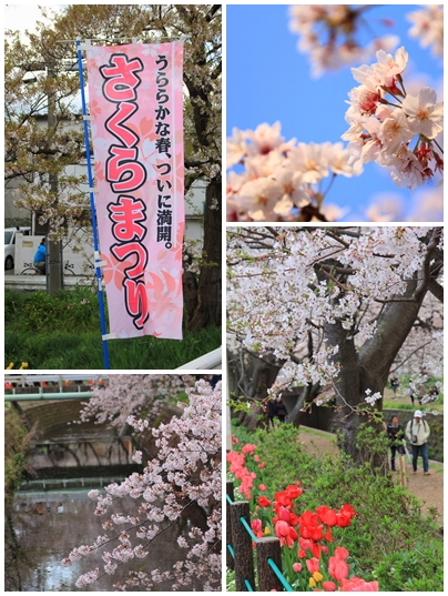 140405-2.jpg