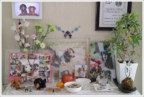 170908-1.jpg